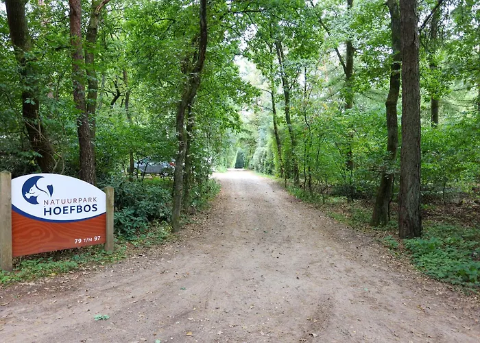 Semesterbostad Veluwe Nature For 2 People I Luxury Kitchen Otterlo