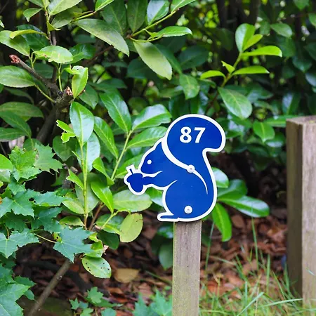 Veluwe Nature For 2 People I Luxury Kitchen *