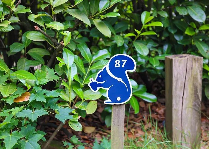 Veluwe Nature For 2 People I Luxury Kitchen *