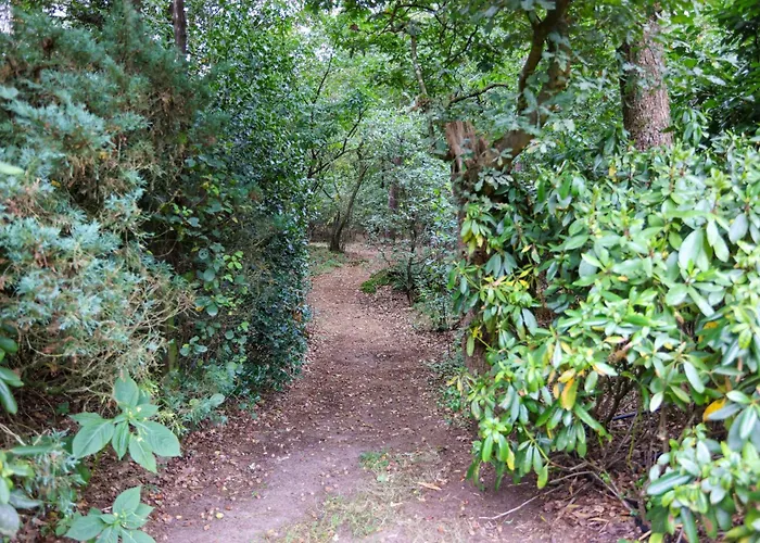 펜션 Veluwe Nature For 2 People I Luxury Kitchen